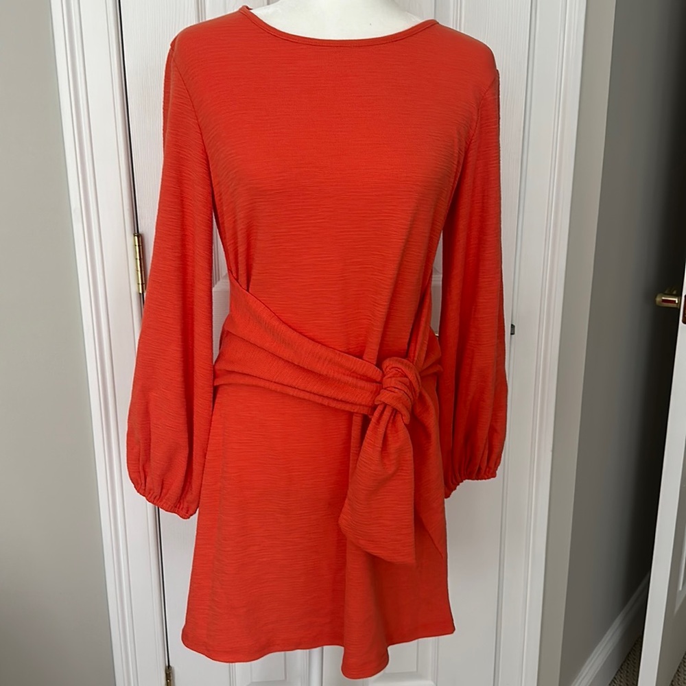 R. Vivimos Dress